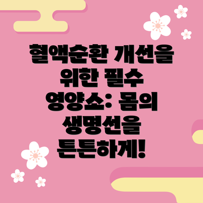 혈액순환 개선을 위한 필수 영양소: 몸의 생명선을 튼튼하게!