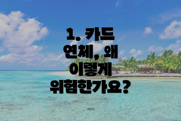 1. 카드 연체, 왜 이렇게 위험한가요?