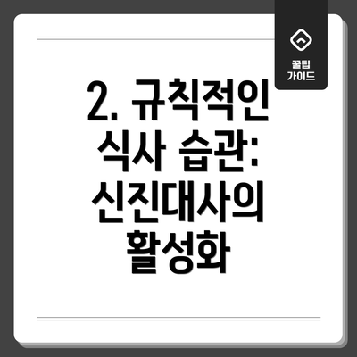 2. 규칙적인 식사 습관: 신진대사의 활성화