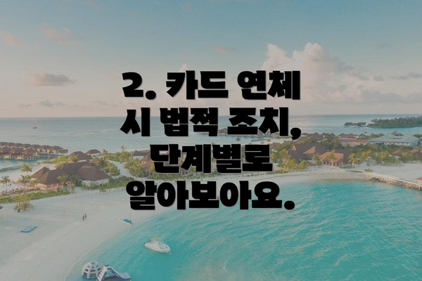 2. 카드 연체 시 법적 조치, 단계별로 알아보아요.