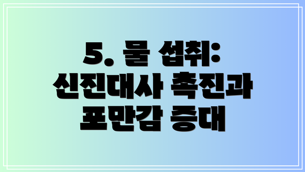 5. 물 섭취: 신진대사 촉진과 포만감 증대