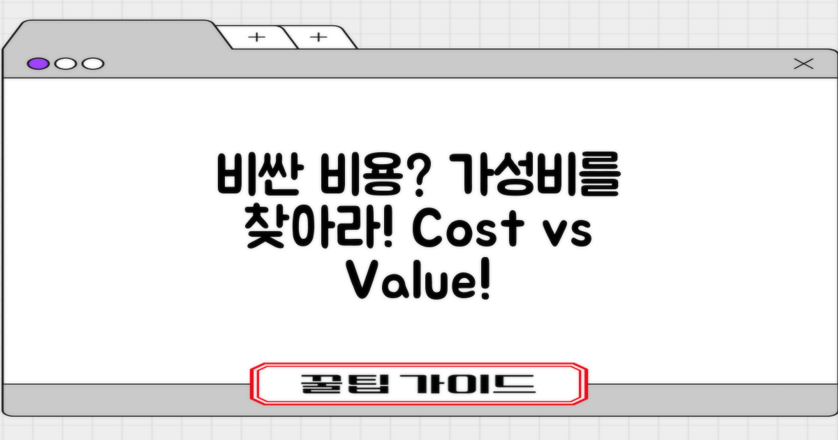 비싼 비용 vs 가성비