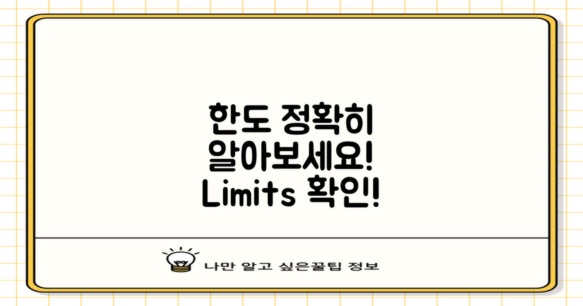 한도를 정확히 알아보세요
