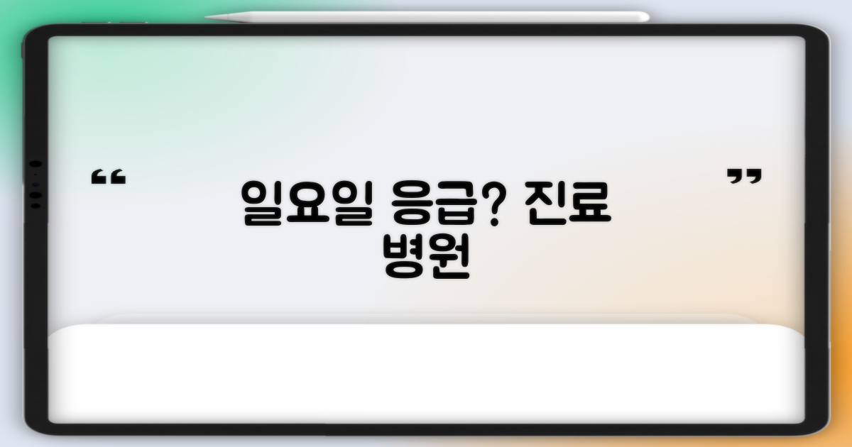 2가지 일요 진료 병원