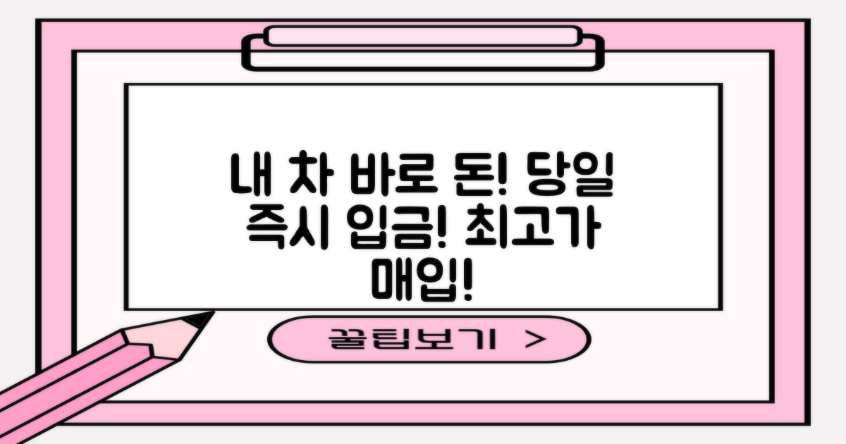 내 차로 당일 즉시 입금 가능